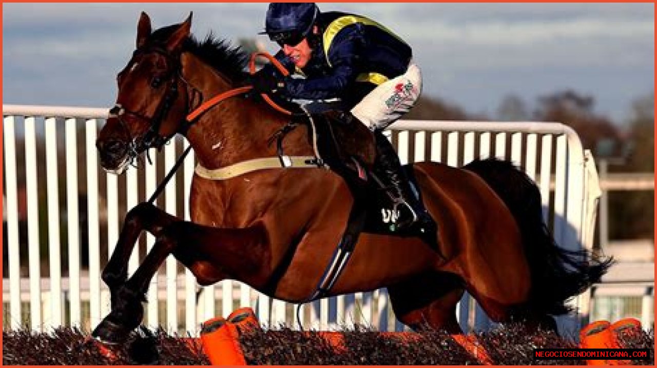 Ayr Gold Cup runners and riders list plus Templegate tip who's in 'form of his life' for Saturday ca