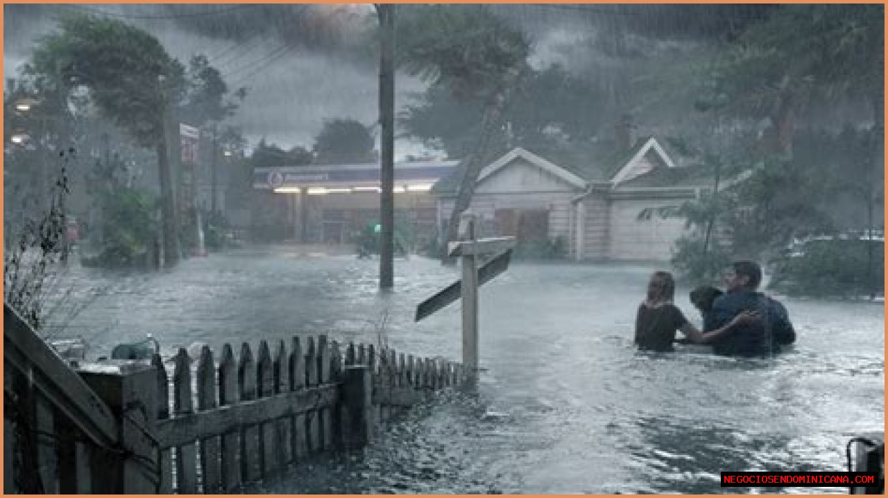 Crawl and Other Disaster Movies Pose Unique Obstacles for Production Designers