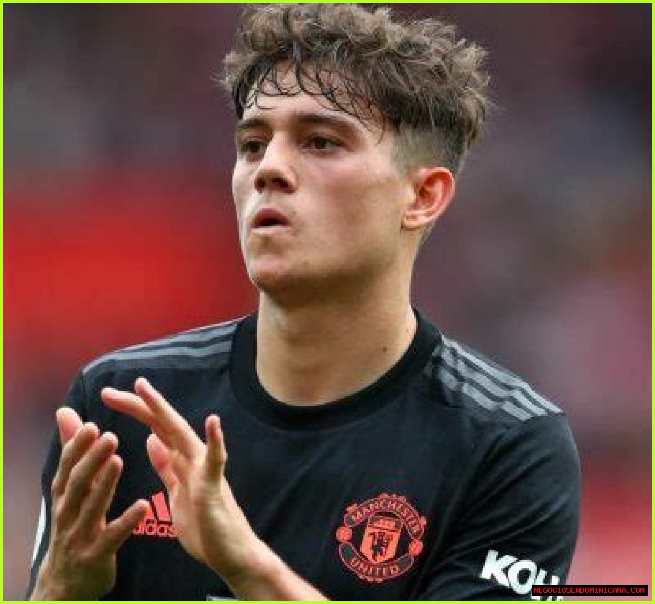 Daniel James- Wiki, Age, Height, Net Worth, Girlfriend, Dating