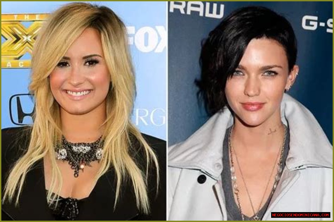 Demi Lovato Had Lesbian Relationship With DJ Ruby Rose? [VIDEO] X Factor Judge Shares Bisexual Kiss With Naya Rivera On Glee; 'The One Person Demi Slept With That Didn't Sell Naked Photos Of Her'