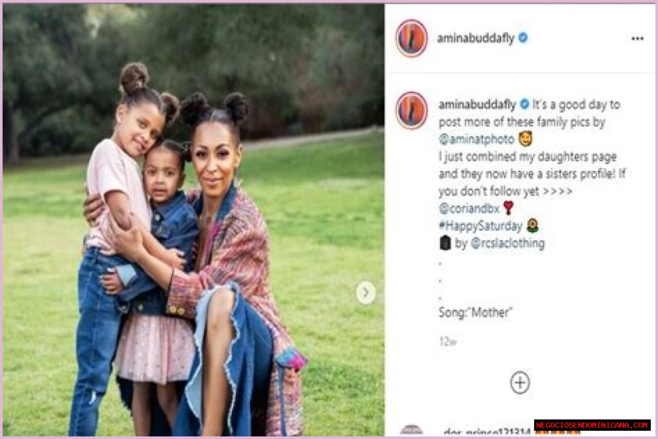 How Much Money Does Amina Buddafly Make? Latest Amina Buddafly Net Worth Income Salary