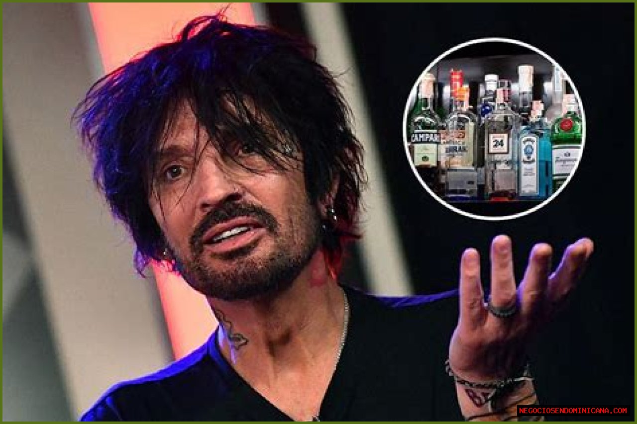 Tommy Lee Recalls Drinking 2 Gallons of Vodka a Day and Shooting Booze With a Syringe